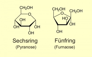 Pyranose - Furanose